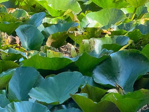 Sample photo taken with the iPhone 15 Pro Max in Berlin