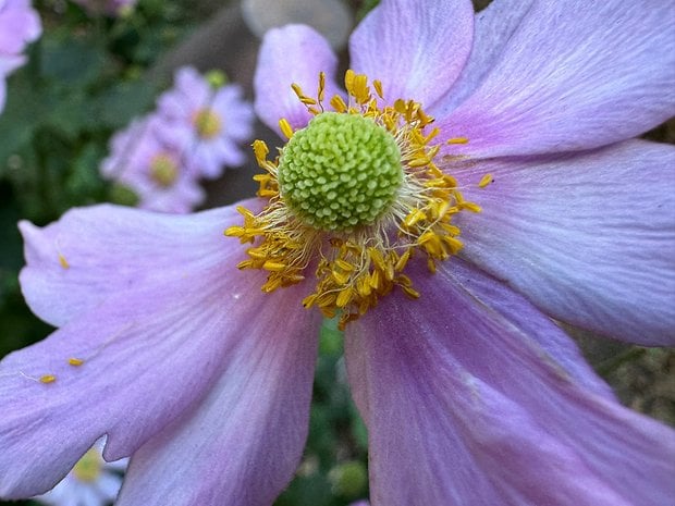 Sample photo taken with the iPhone 15 Pro Max in Berlin