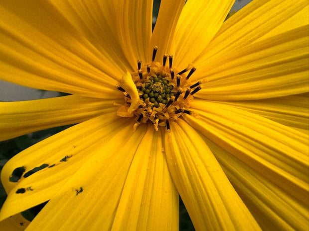 Sample photo taken with the iPhone 15 Pro Max in Berlin